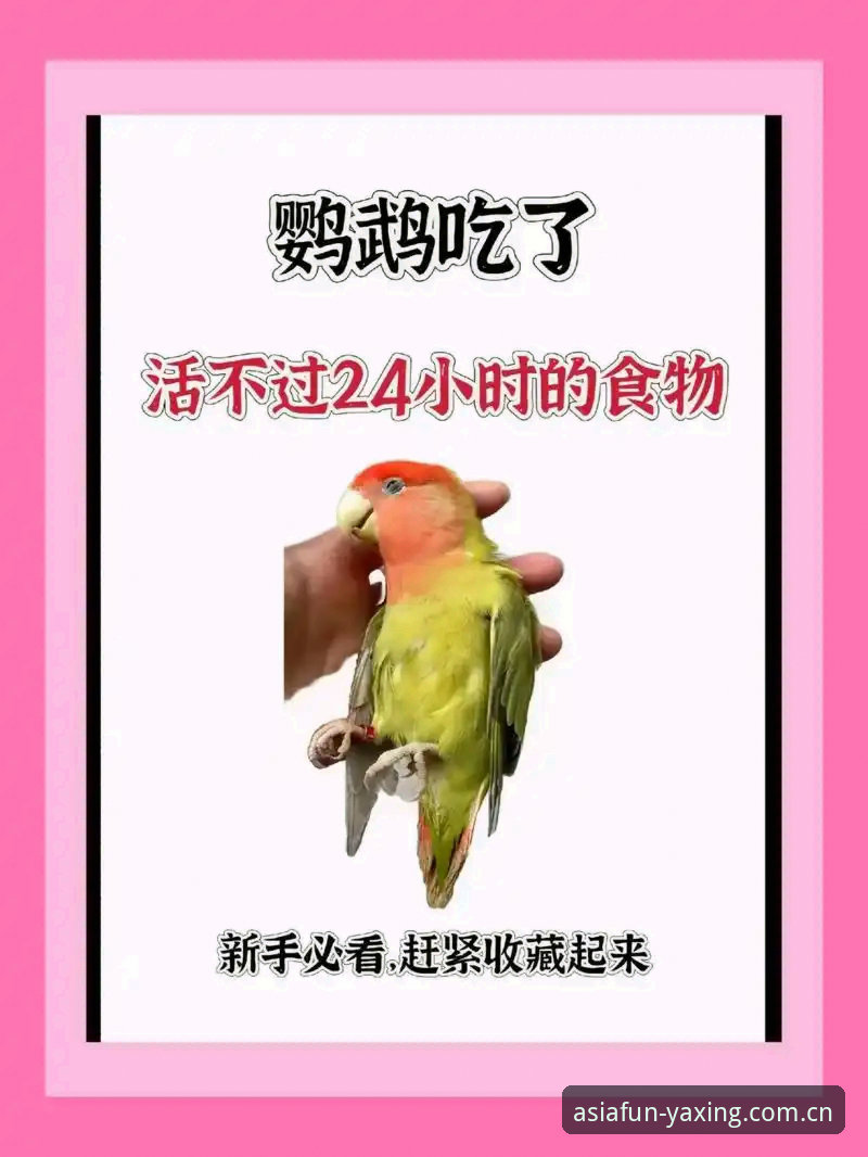新手必看：为亚洲新娱乐立序APP下载的3个避坑技巧与完整操作指南